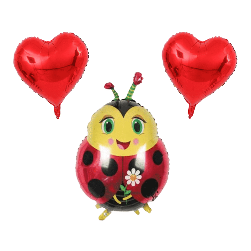 Ladybug Foil Balloon Party Set Red Heart Balloons Kids