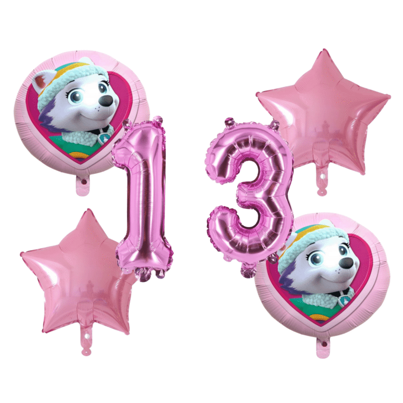Paw Patrol Skye 13th Birthday Foil Balloons Party Pink Set