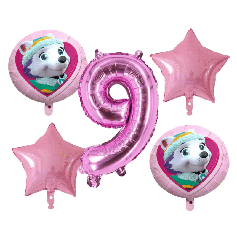 Paw Patrol Skye 9th Birthday Pink Foil Balloon Set Girls Party